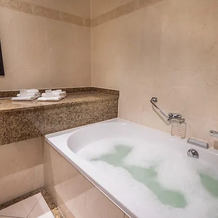 Der Valk Den Haag - 4* فورسخوتين