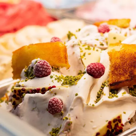 Der Valk Den Haag - فندق فورسخوتين