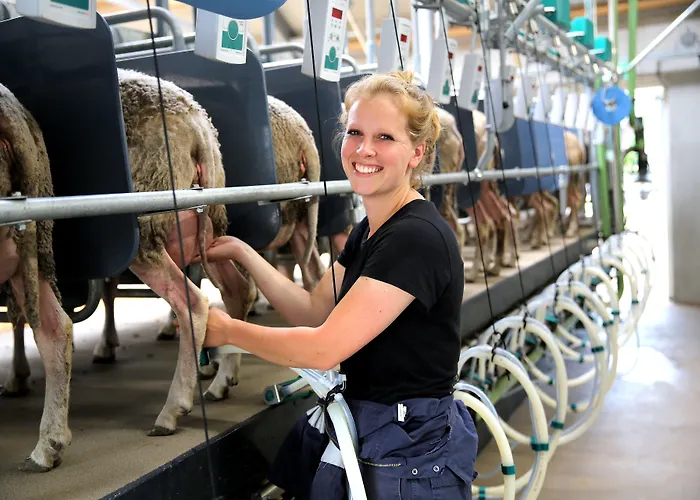 Hotel Der Valk Den Haag - 4*